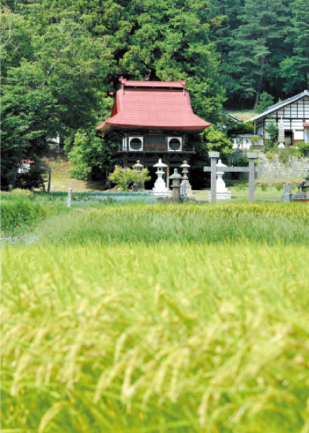 安養寺ら～めんのビジュアル:それは安養寺から始まった