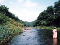 佐久を流れる川 湯川
