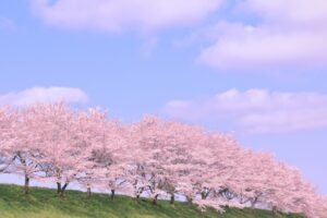 佐久市の補助制度について